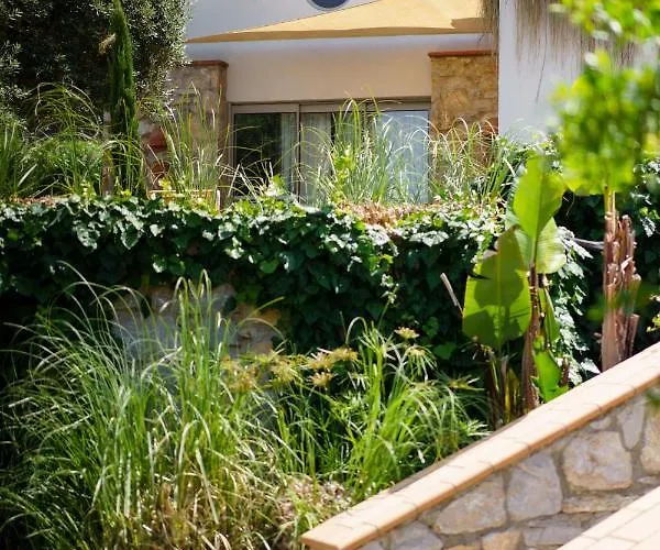 Odette Bed & Breakfast