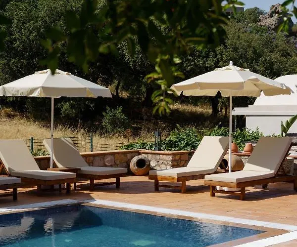 Odette Bed & Breakfast