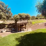 Odette Oda ve Kahvaltı Bodrum