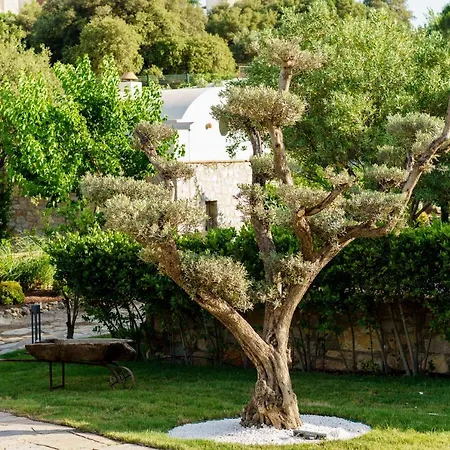 Odette Αλικαρνασσός