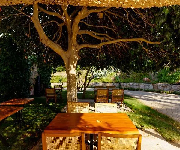 Bed and Breakfast Odette