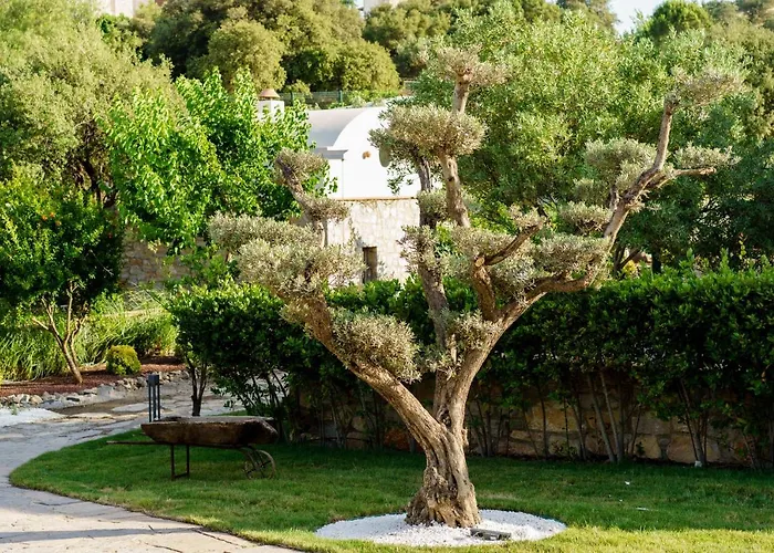 Odette Bodrum