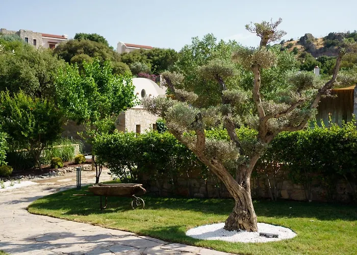 Bed & Breakfast Odette