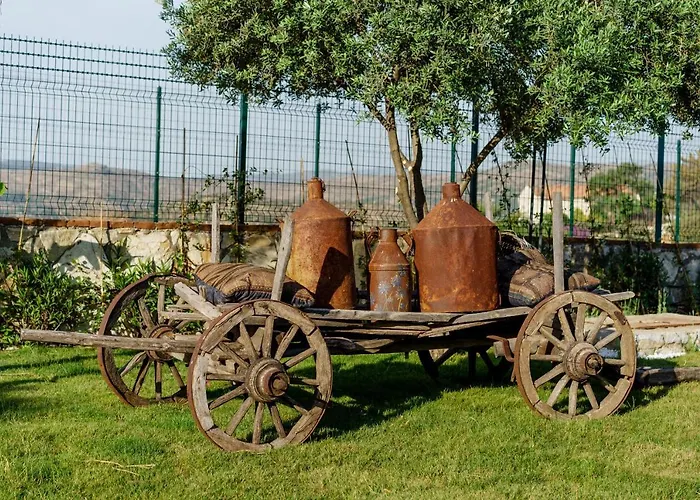 Odette Oda ve Kahvaltı